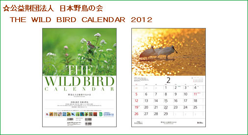 公益財団法人　日本野鳥の会 the wild bird calendar 2012
