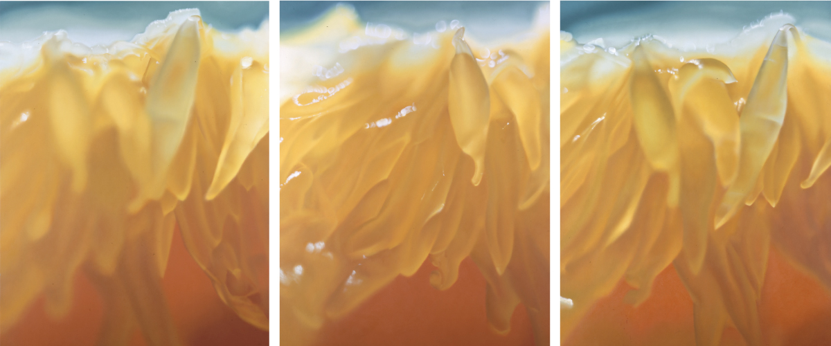 untitled 1999-01 各123x96cm 油彩・キャンバス 所蔵:imura art gallery 撮影:加藤成文(Kato Shigefumi)