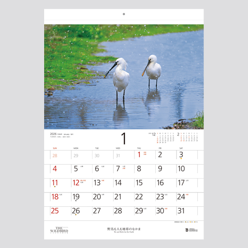 公益財団法人日本野鳥の会 様／ワイルドバード・カレンダー2026