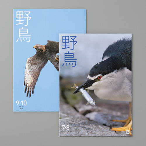 公益財団法人日本野鳥の会　様／日本野鳥の会会誌『野鳥』　　2025年7・8月号、2025年9・10月号