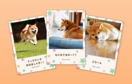 ペット｜アイテム例：写真カード、ペット関連サービスの利用・契約特典として、愛犬・愛猫の成長記録をフォトブックに。大切な家族であるペットとの日々を形に残すという付加価値で、他社との差別化やサービスの継続利用を促します。＃顧客ロイヤリティ向上 ＃解約率の低下・リピート促進 ＃新規顧客獲得のフック