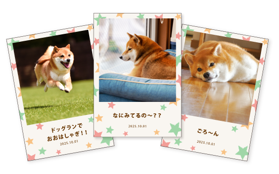 写真カードイメージ