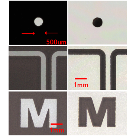 遮光膜・ドット印刷のサンプル画像
