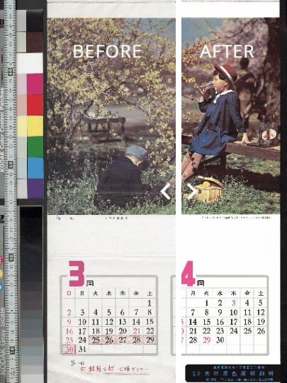 画像データ全体像比較（Before/After）